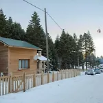 Orman Koskleri *