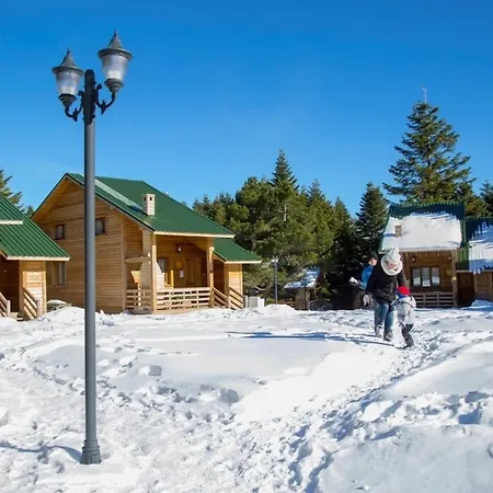 Lodge Orman Koskleri