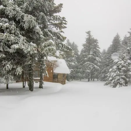 Chata Orman Koskleri Uludag (Bursa)