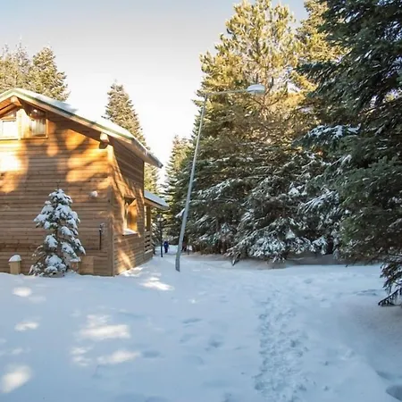 Chata Orman Koskleri