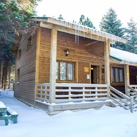 Lodge Orman Koskleri Uludag (Bursa)