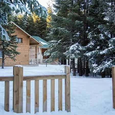 Lodge Orman Koskleri *