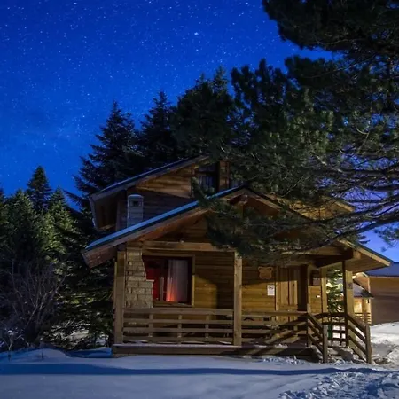 Lodge Orman Koskleri