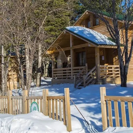 Orman Koskleri Uludag (Bursa)