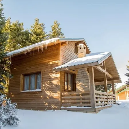 Orman Koskleri Uludag (Bursa)