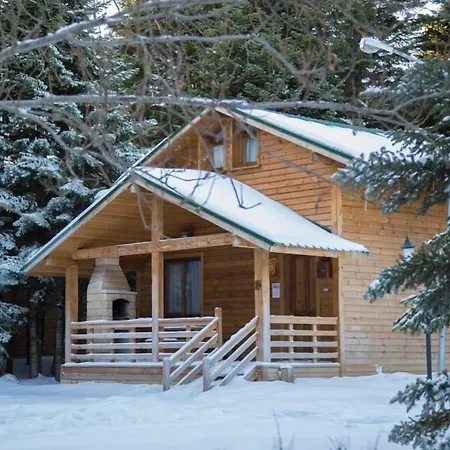 Orman Koskleri * Uludag (Bursa)