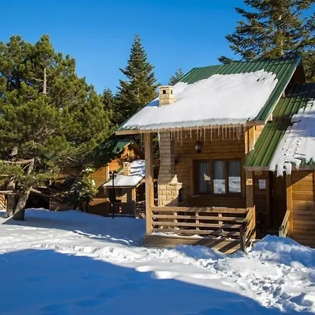 Orman Koskleri Uludag (Bursa)