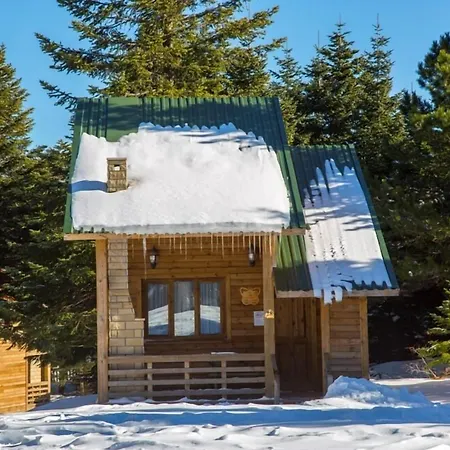 Orman Koskleri Uludag (Bursa)