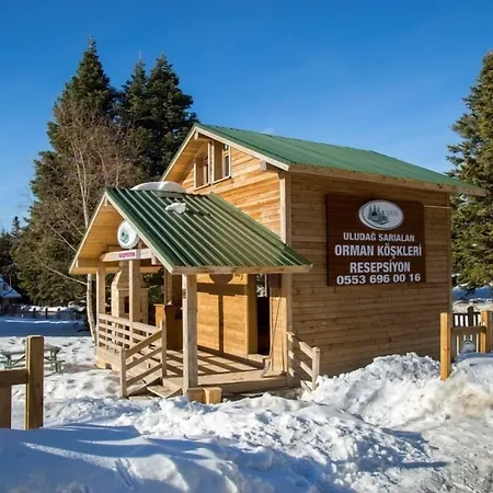 Lodge Orman Koskleri Uludag (Bursa)