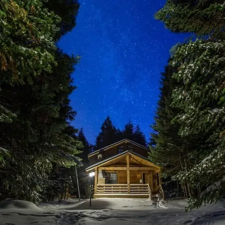 Lodge Orman Koskleri Uludag (Bursa)