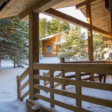 Orman Koskleri Chata Uludag (Bursa)