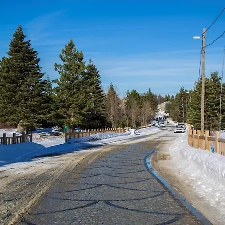 Orman Koskleri Uludag (Bursa)