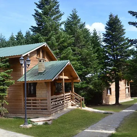 Uludag Orman Koskleri