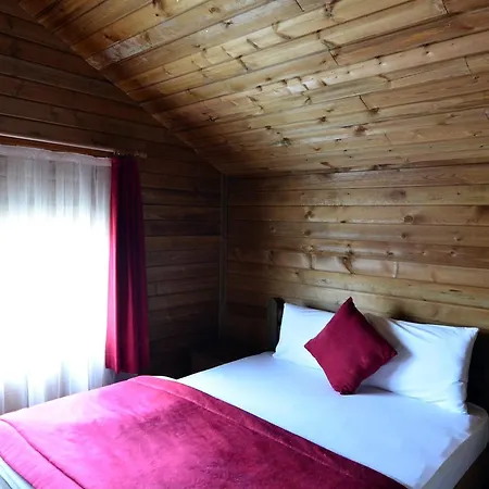 Uludag Orman Koskleri
