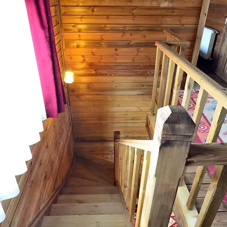 Orman Koskleri * Uludag (Bursa)