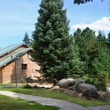 Lodge Orman Koskleri *