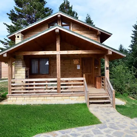 Lodge Orman Koskleri