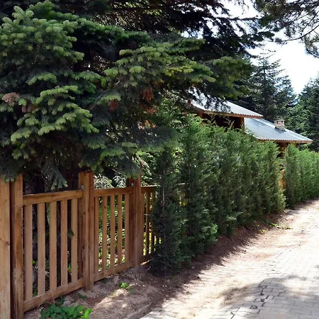 Orman Koskleri Lodge