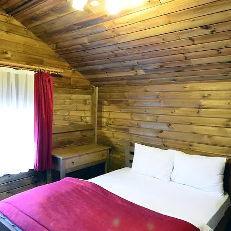 Uludag Orman Koskleri *
