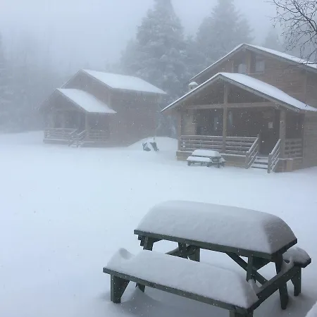 Uludag Orman Koskleri Lodge Bursa