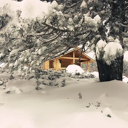 Uludag Orman Koskleri